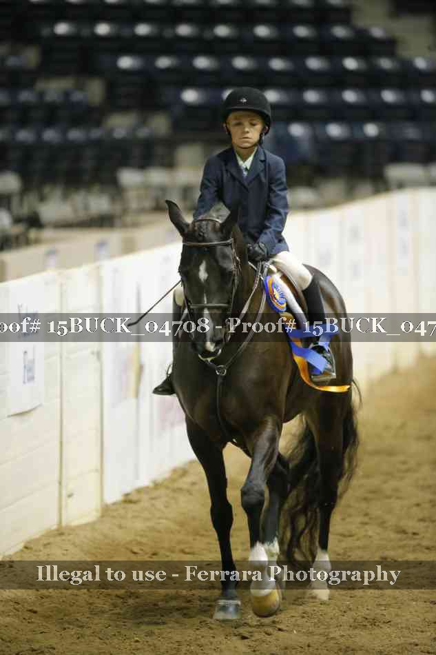 Proof 15BUCK_04708