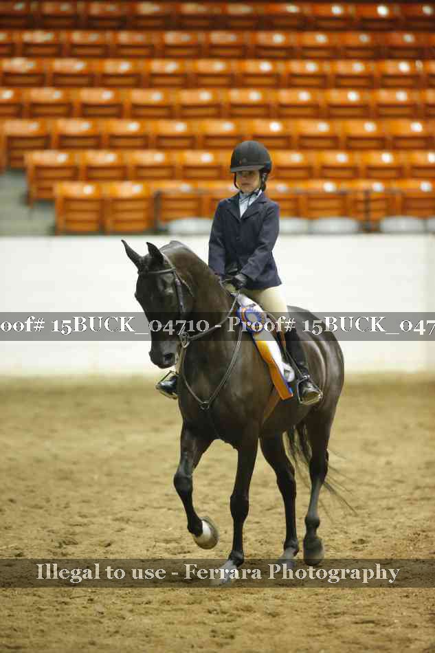 Proof 15BUCK_04710
