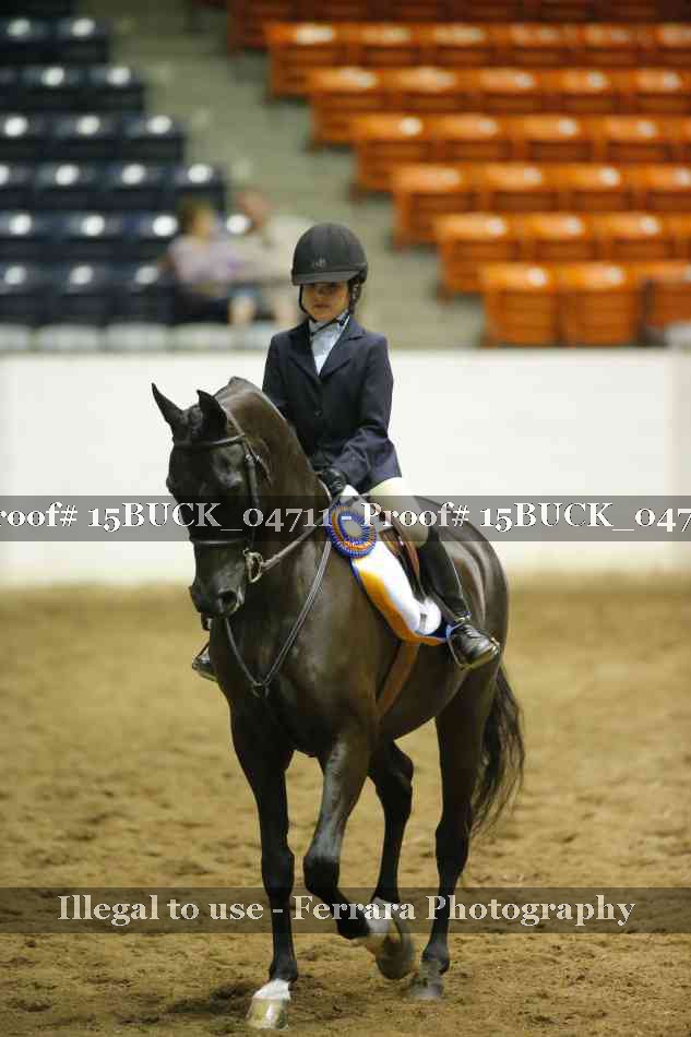 Proof 15BUCK_04711