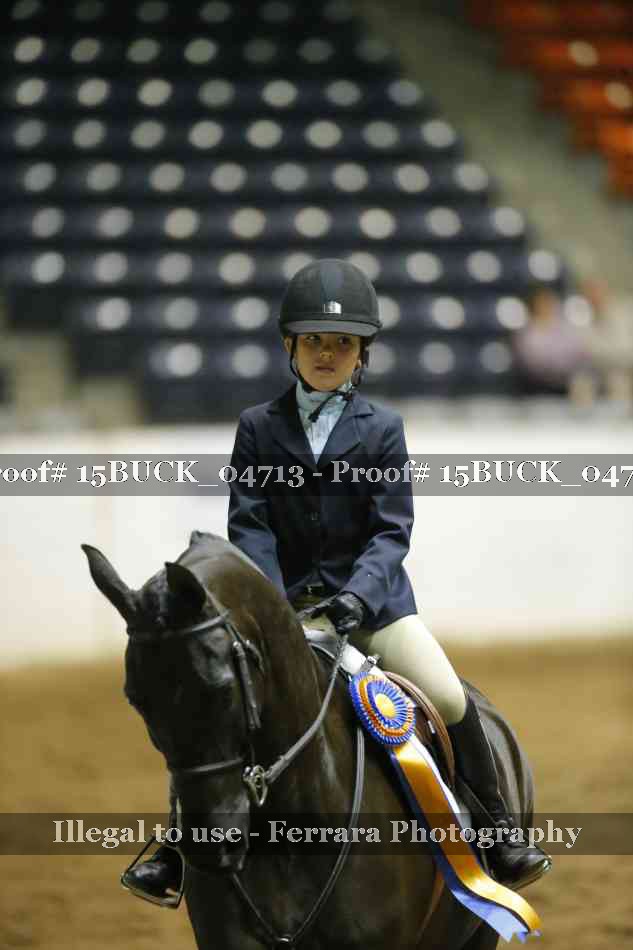 Proof 15BUCK_04713