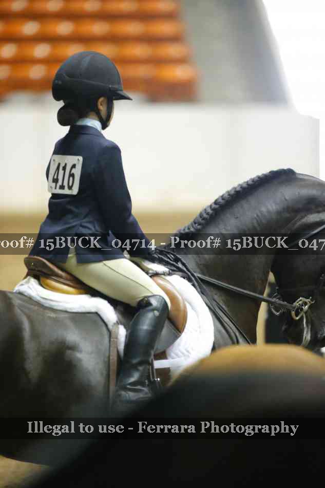 Proof 15BUCK_04714