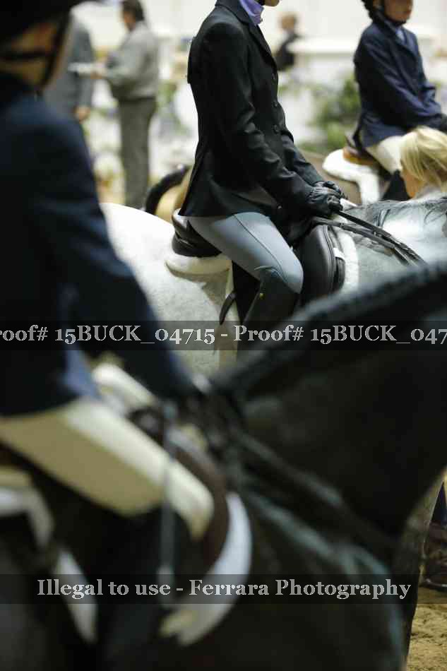 Proof 15BUCK_04715