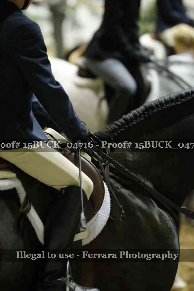 Proof 15BUCK_04716
