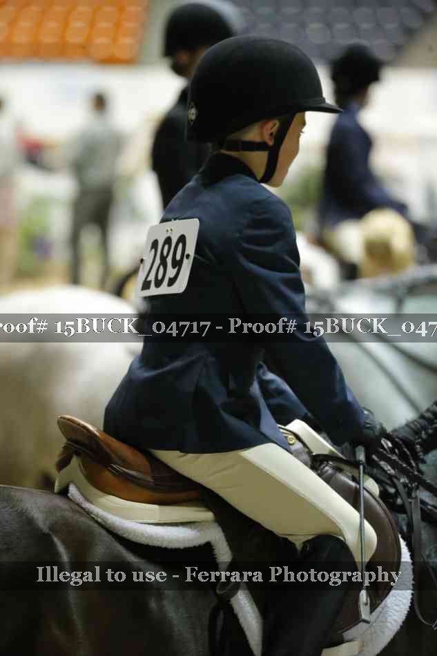 Proof 15BUCK_04717