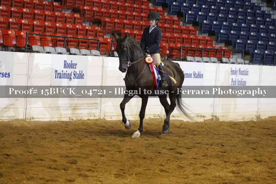 Proof 15BUCK_04721