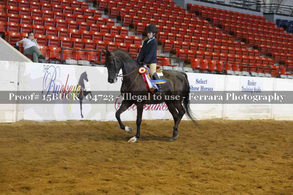 Proof 15BUCK_04723