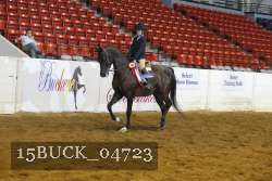 15BUCK_04723 proof