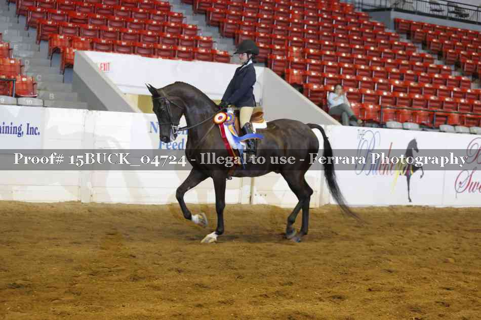 Proof 15BUCK_04724