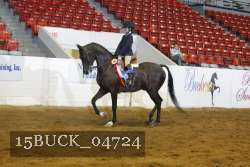 15BUCK_04724 proof