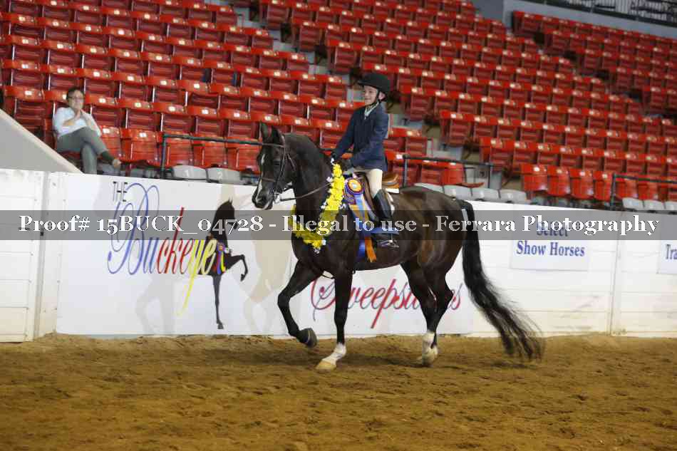 Proof 15BUCK_04728