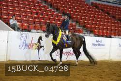 15BUCK_04728 proof