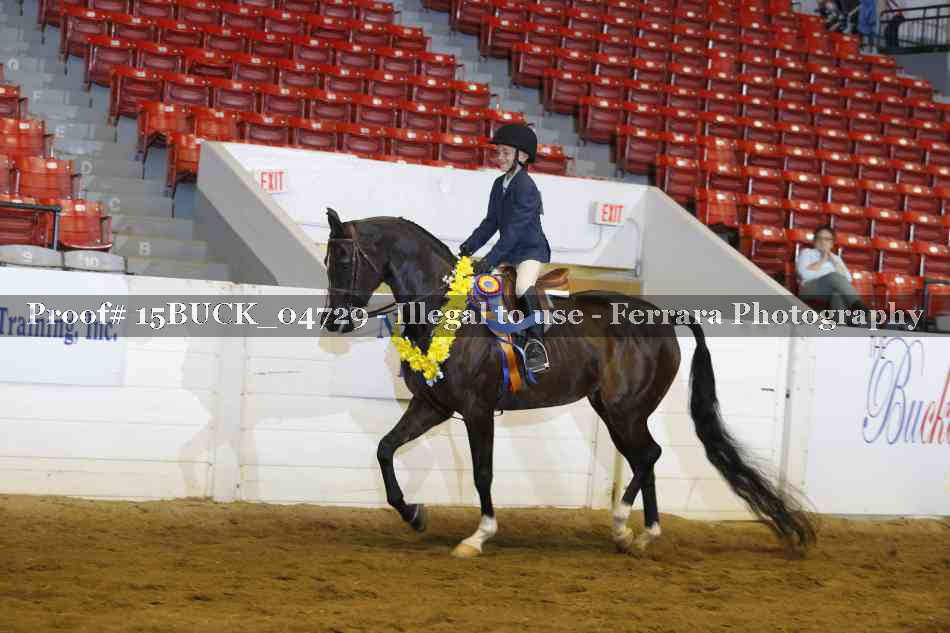 Proof 15BUCK_04729