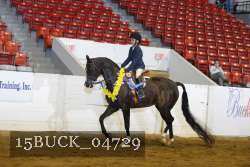 15BUCK_04729 proof