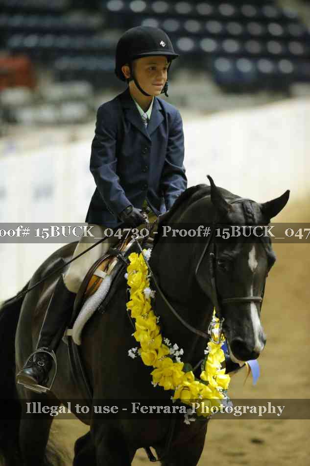 Proof 15BUCK_04730