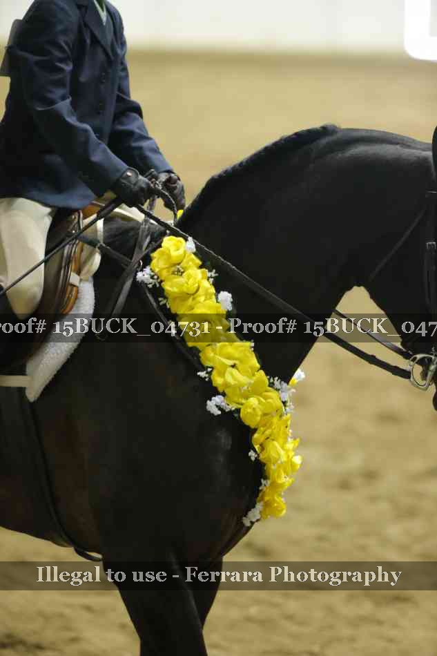 Proof 15BUCK_04731