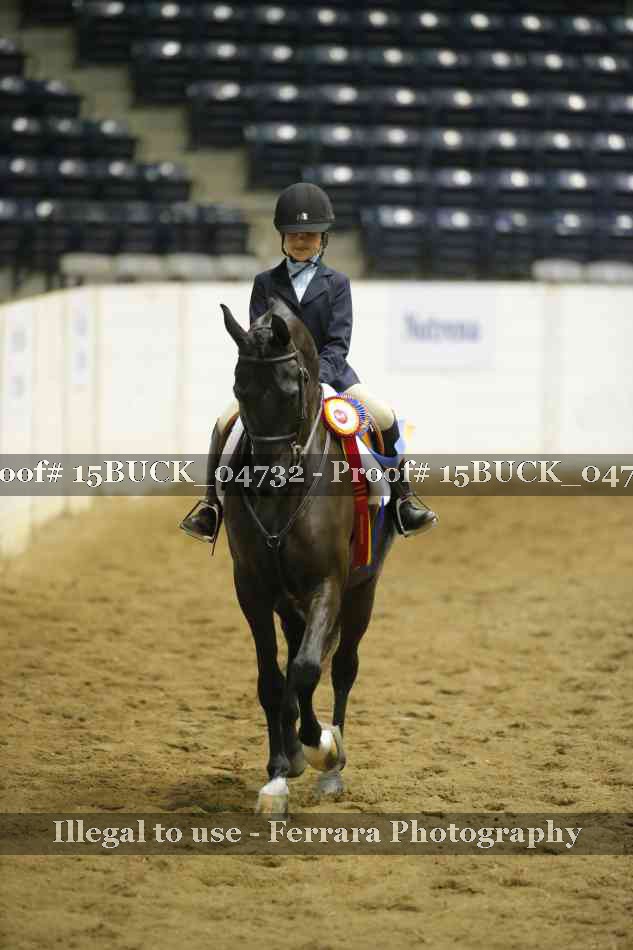 Proof 15BUCK_04732
