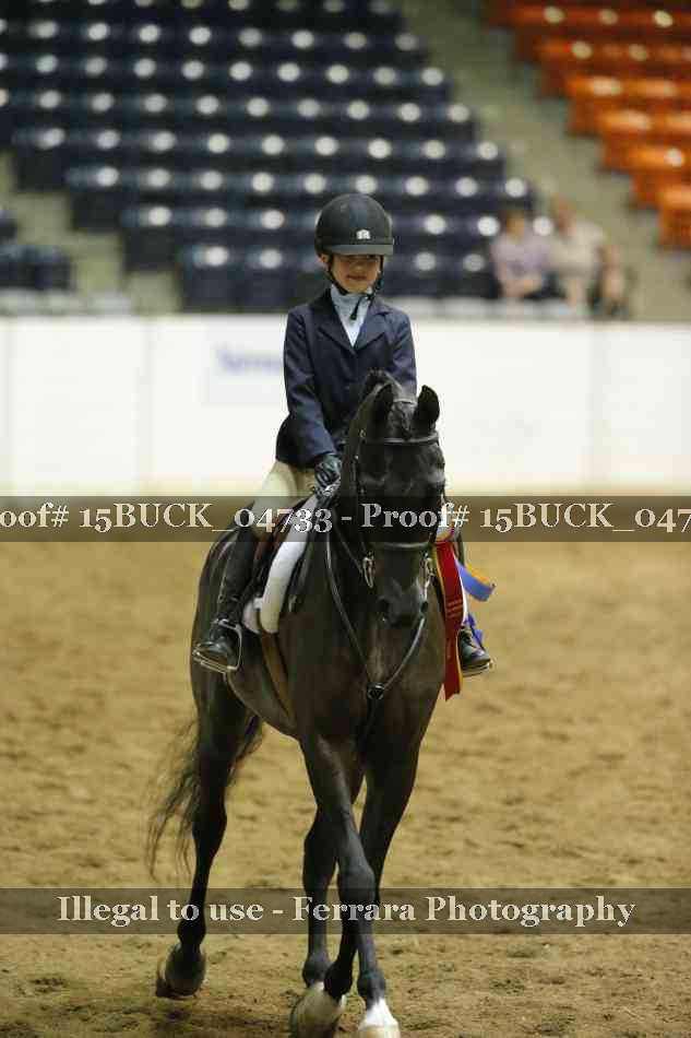 Proof 15BUCK_04733