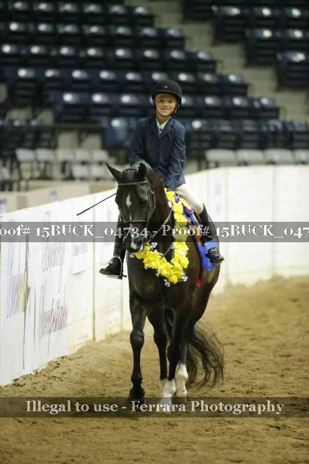 Proof 15BUCK_04734