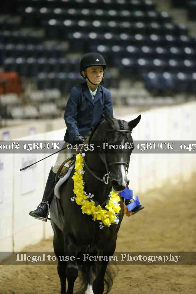 Proof 15BUCK_04735