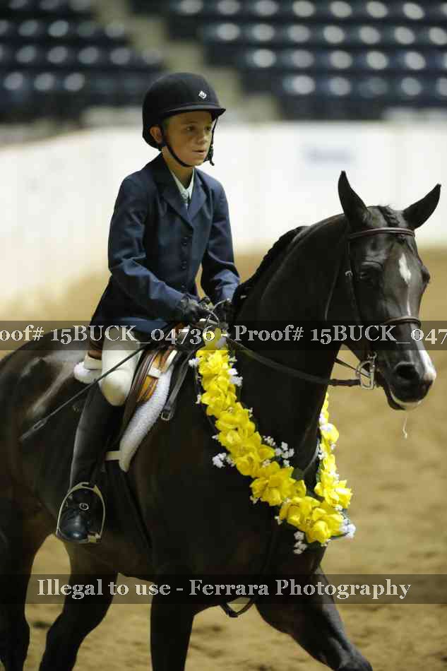 Proof 15BUCK_04736