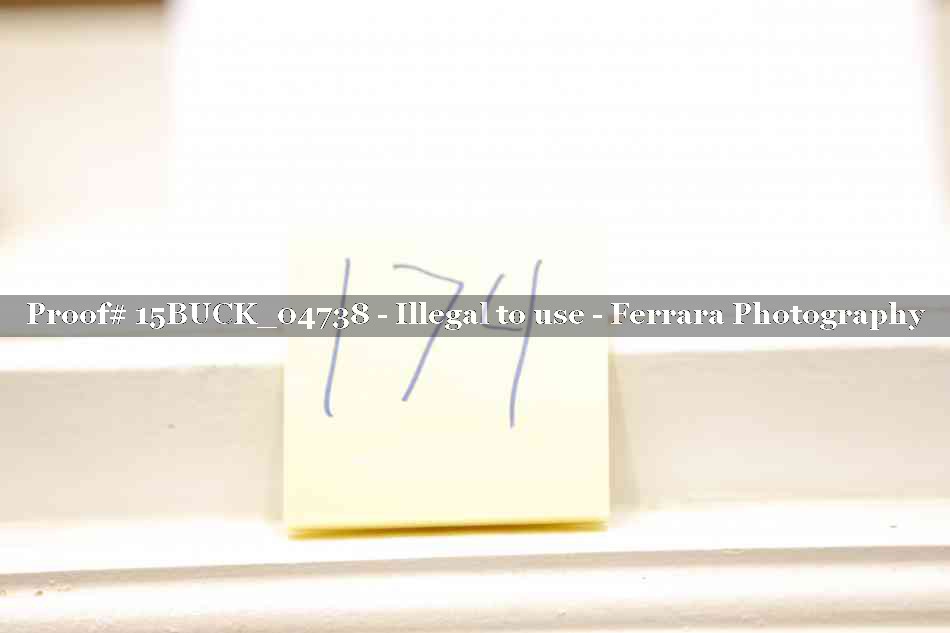 Proof 15BUCK_04738