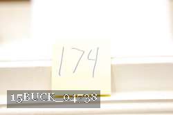 15BUCK_04738 proof