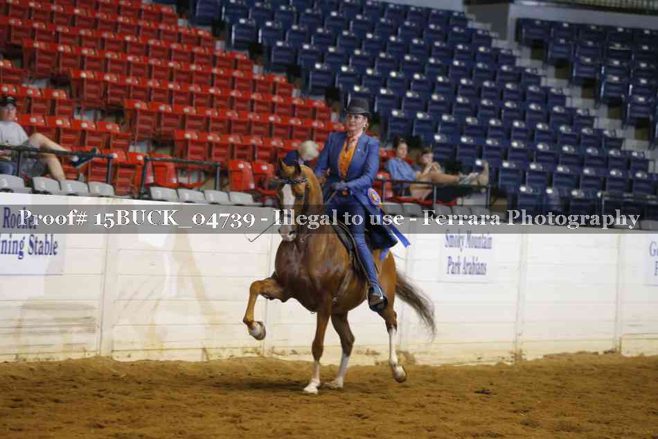 Proof 15BUCK_04739
