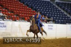 15BUCK_04739 proof