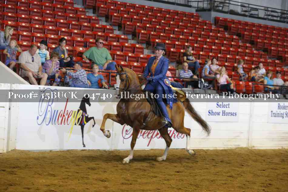 Proof 15BUCK_04740