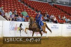 15BUCK_04740 proof