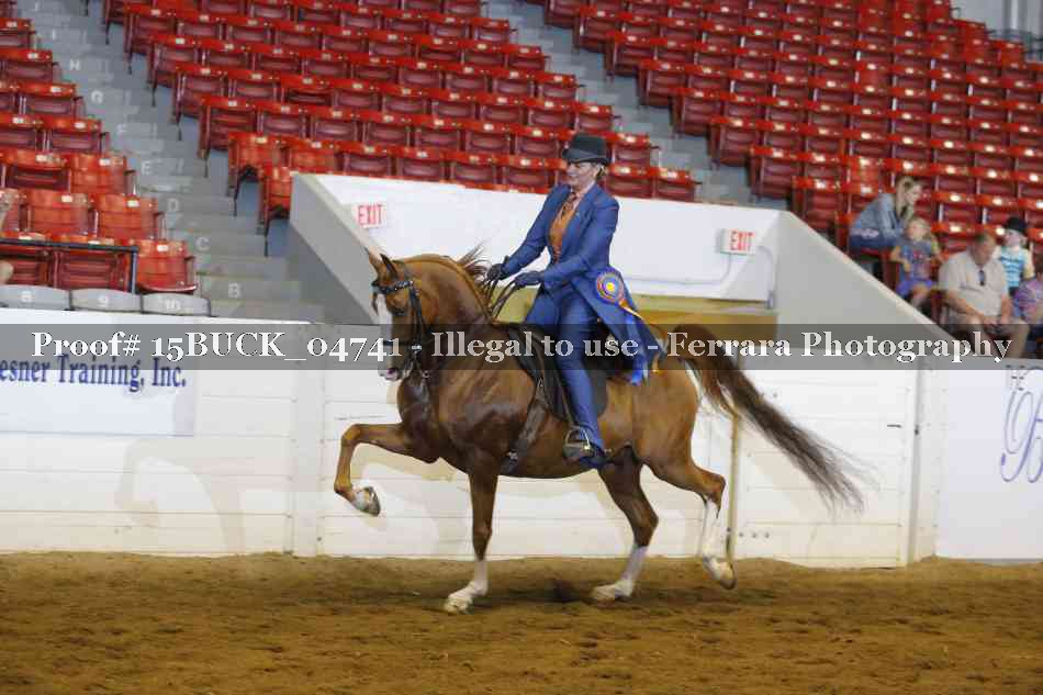 Proof 15BUCK_04741