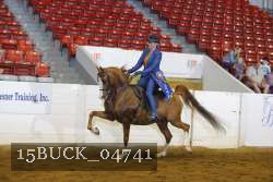 15BUCK_04741 proof