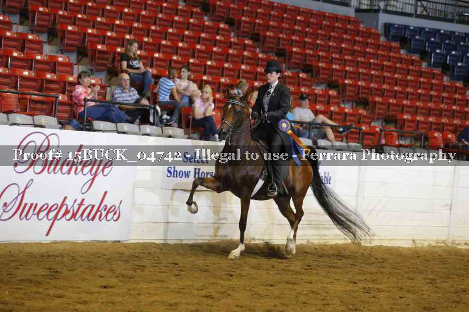 Proof 15BUCK_04742
