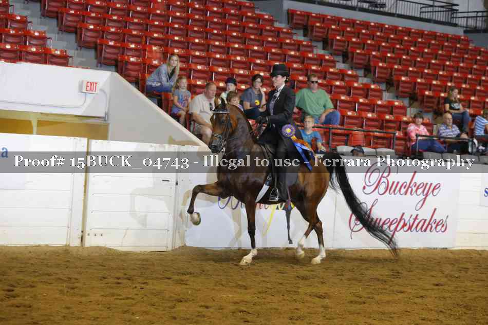 Proof 15BUCK_04743