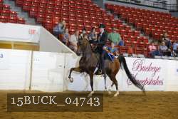 15BUCK_04743 proof
