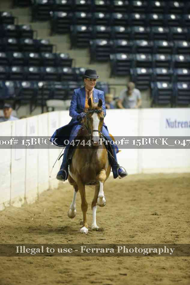 Proof 15BUCK_04744