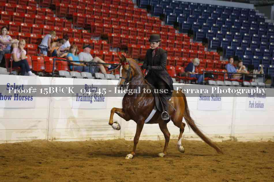 Proof 15BUCK_04745