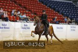 15BUCK_04745 proof