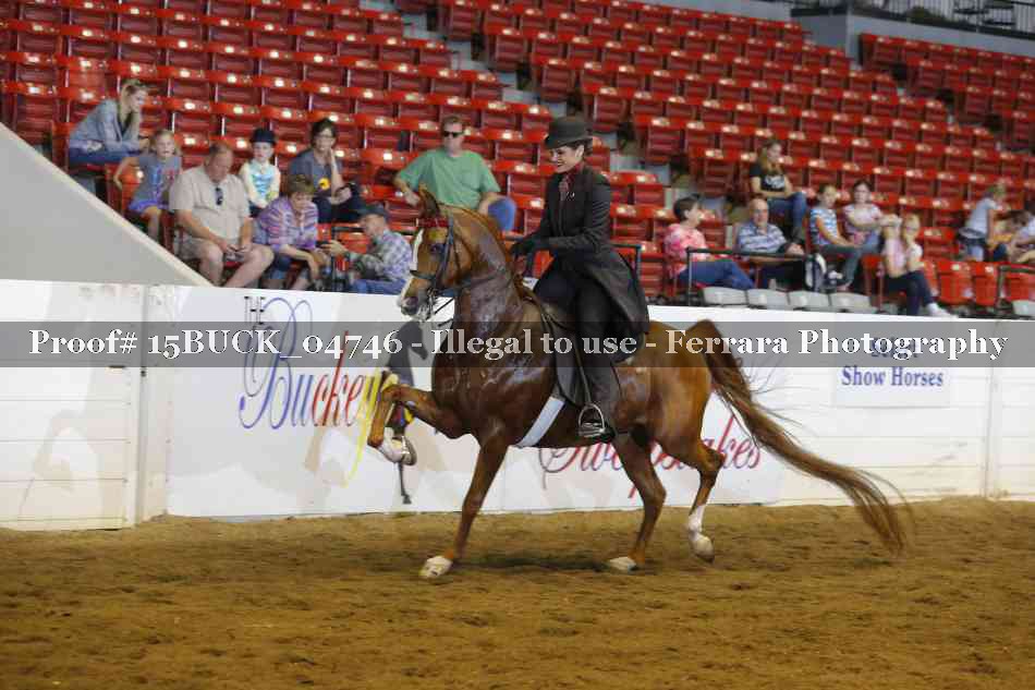 Proof 15BUCK_04746