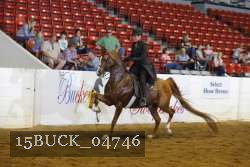 15BUCK_04746 proof