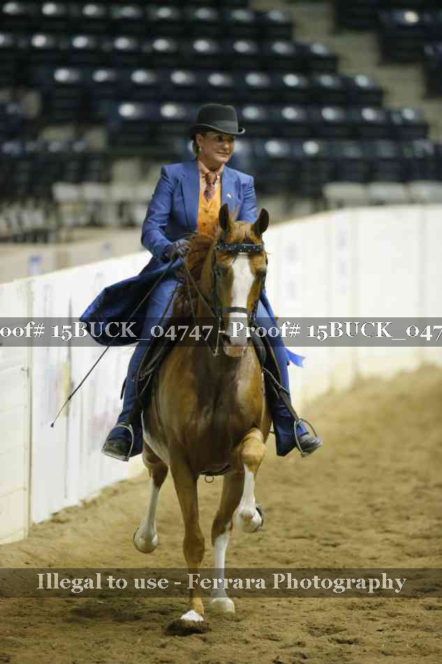 Proof 15BUCK_04747