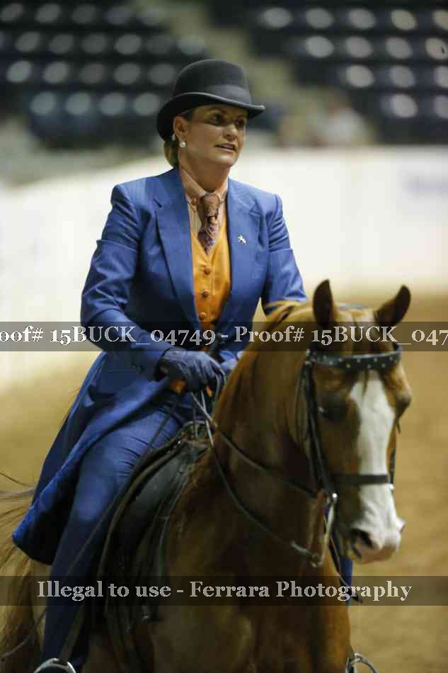 Proof 15BUCK_04749