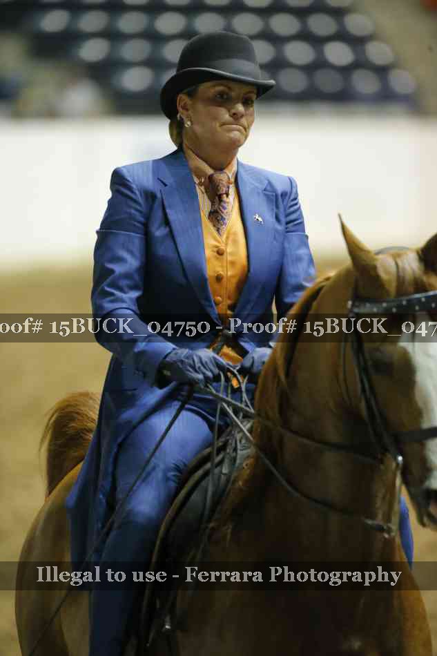 Proof 15BUCK_04750