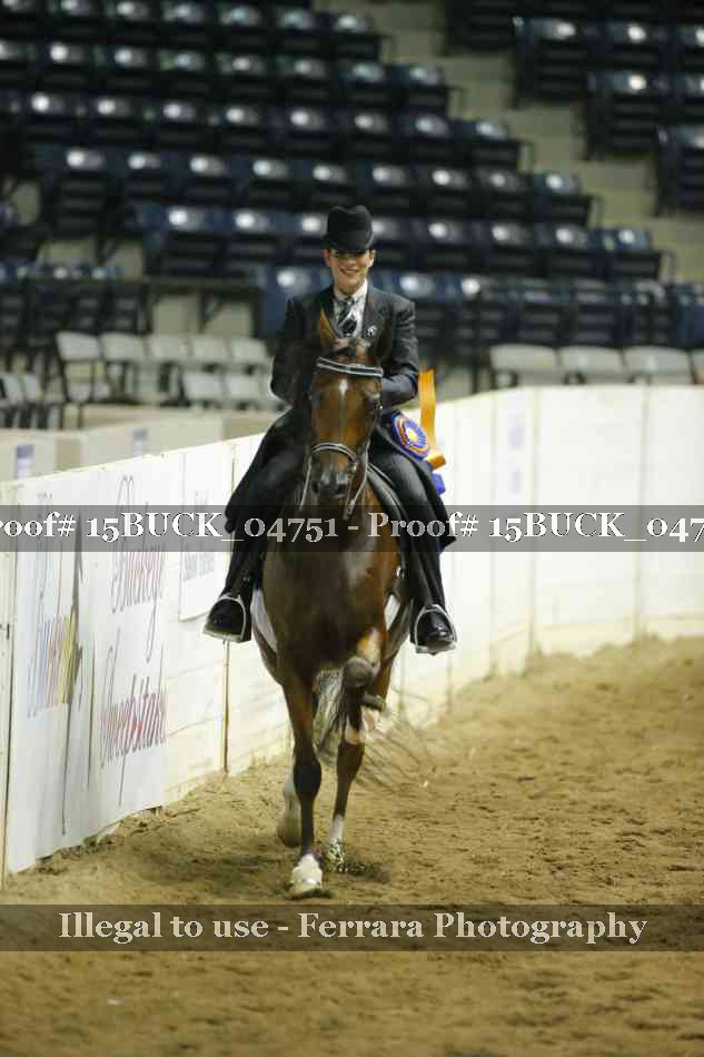 Proof 15BUCK_04751
