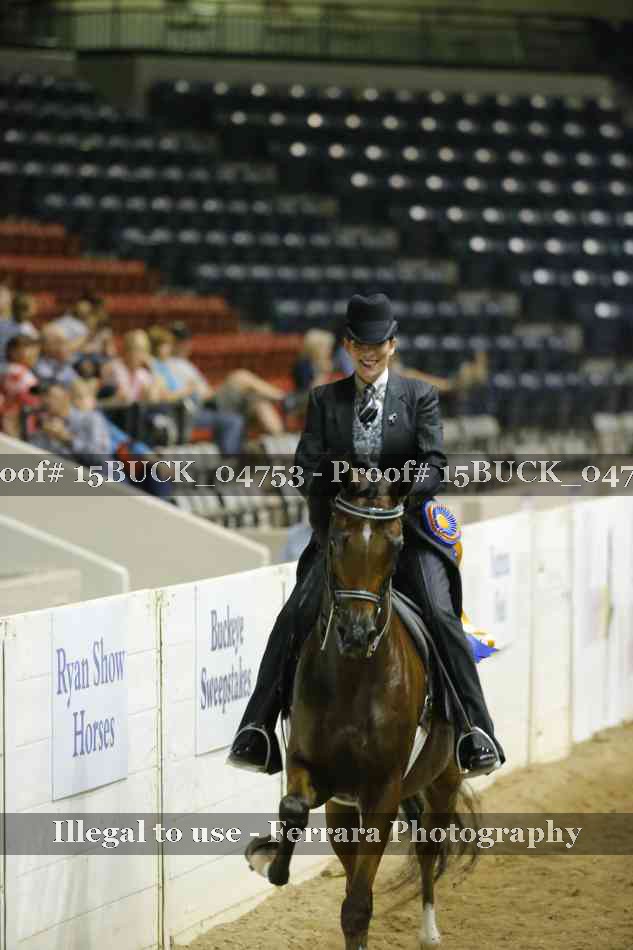Proof 15BUCK_04753
