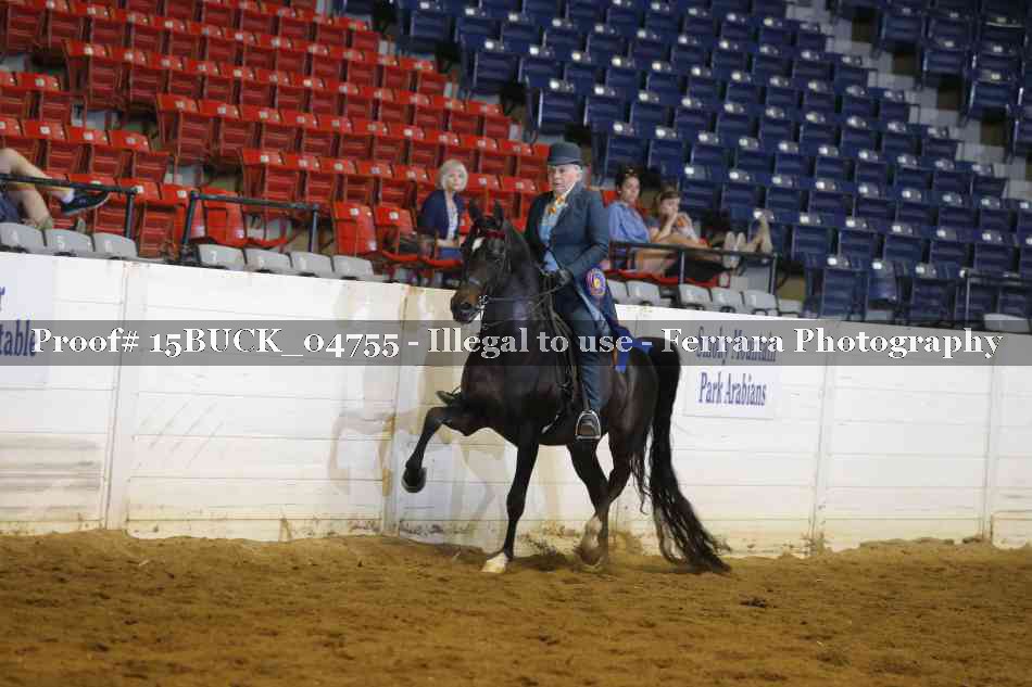 Proof 15BUCK_04755