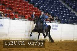 15BUCK_04755 proof