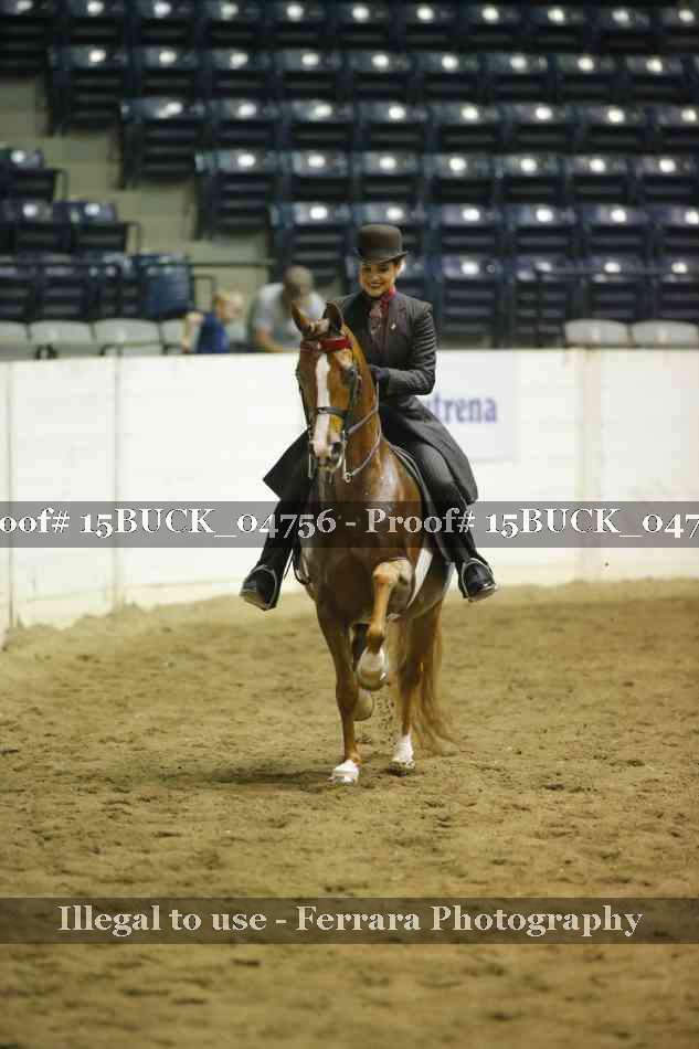 Proof 15BUCK_04756