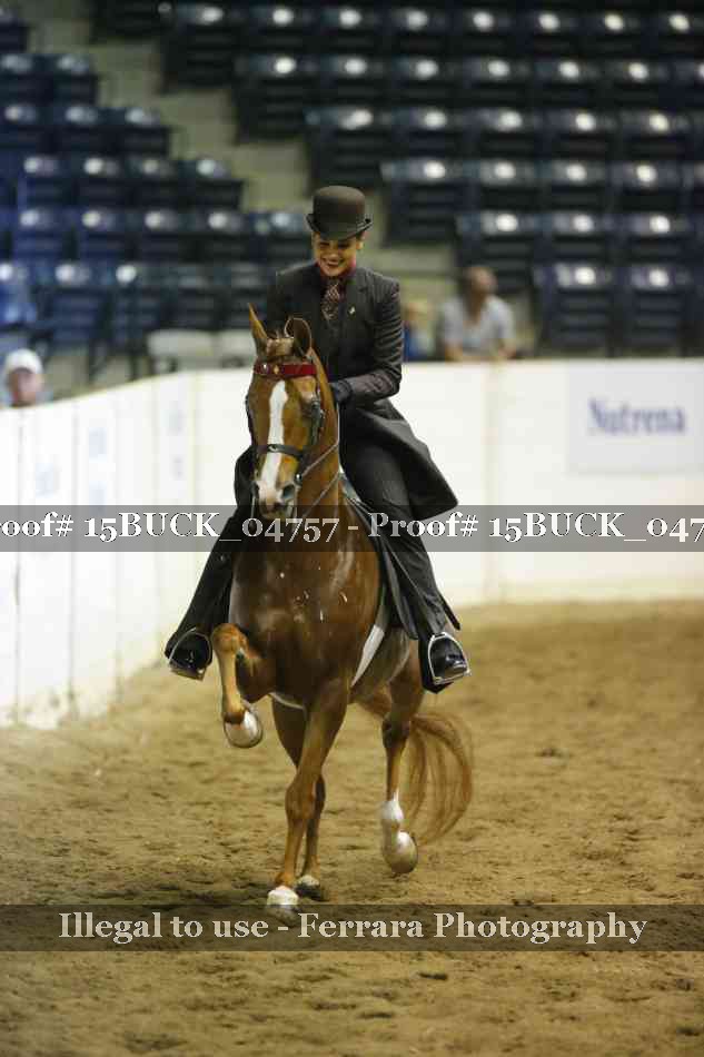Proof 15BUCK_04757