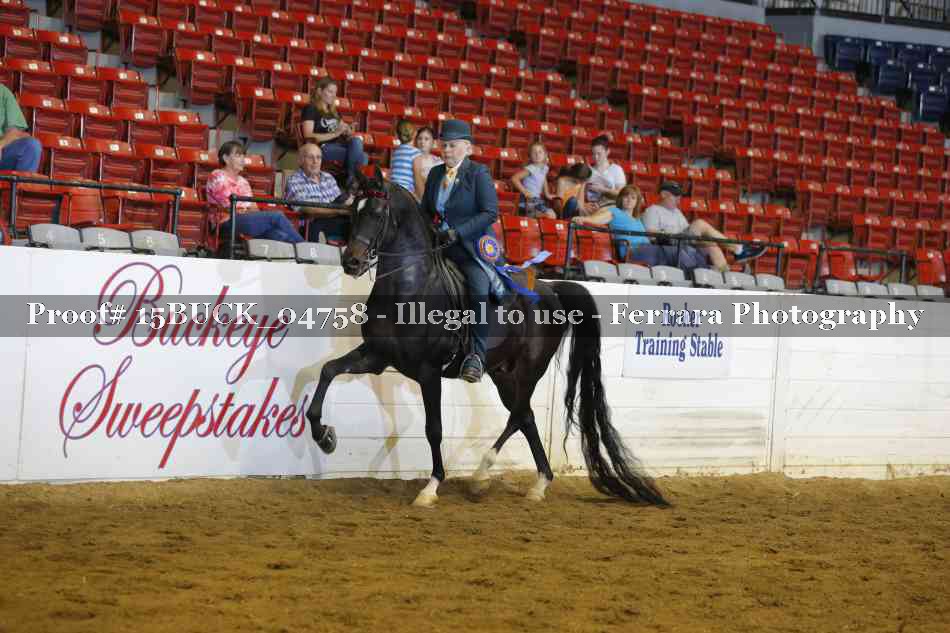 Proof 15BUCK_04758